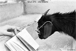 181- ARMEE DE L'AIR EN ALGERIE 1945-1962-29 (50)